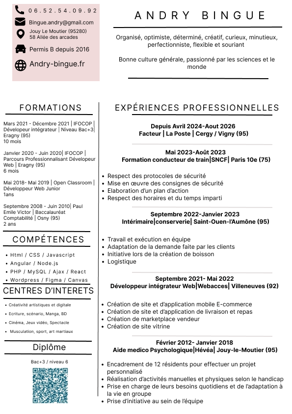 Curriculum Vitae - Bingue Andry